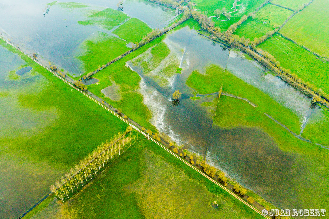 JuanRobert_130325_0186.CR2saint georges sur loirePays de la Loire