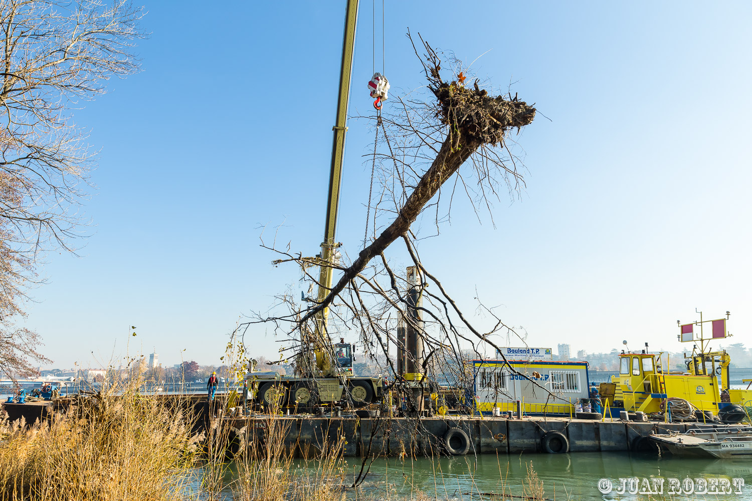 Auteur, Juan ROBERT, Photographe, buildingGuilherand-GrangesArdêche - Rhône-AlpesCNR, Abattage d'arbres à Guilherand-Granges