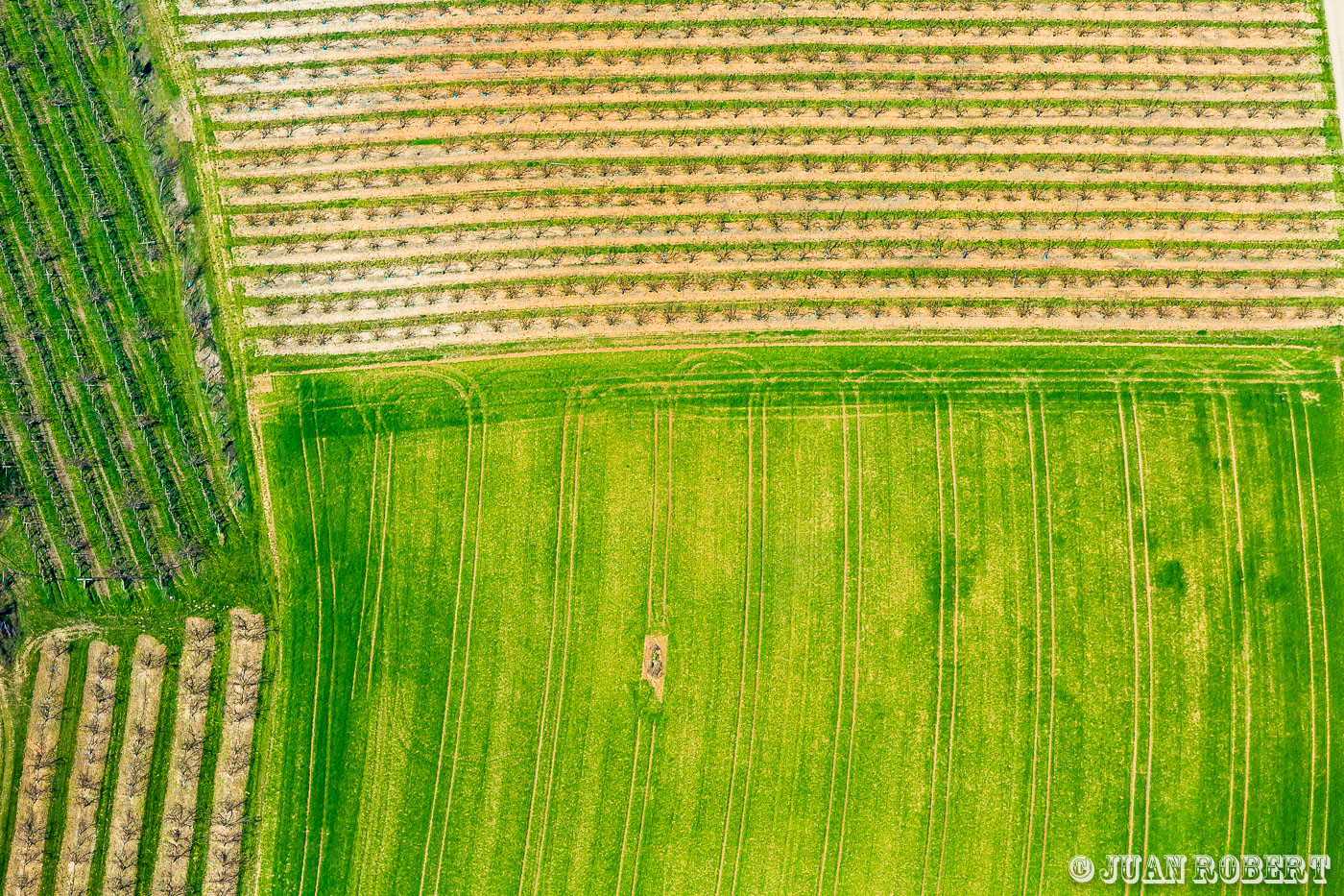 Auteur, Juan ROBERT, PhotographeVol Ecoparc Rovaltain Rovaltain 