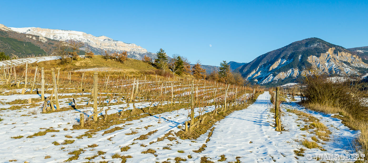 Auteur, Châtillon-en-diois, Drôme, Juan ROBERT, Photographe, Pontaix, Saint-Roman, Vigne, arbres, cabanon, champs, coucher de soleil, diois, hiver, montagne, mésanges, neige, paysage, rivière, villageChatillon-en-dioisDrôme - Rhône-AlpesDiois en hiver et neige