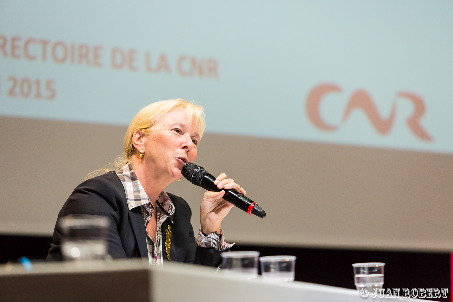 Auteur, Juan ROBERT, PhotographeEtoileDrôme - Rhône-AlpesRencontres Régionales CNR - DRVA - à Etoile-sur-Rhône